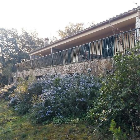 Mas Caterina ξενώνας Madremanya Εξωτερικό φωτογραφία